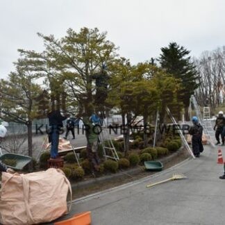 釧路動物園で樹木剪定(2022-04-17)