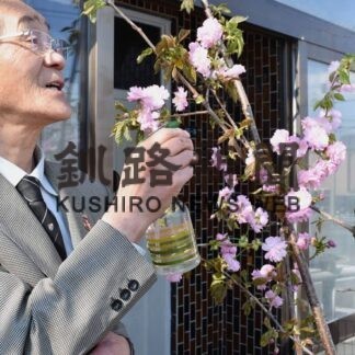 一足早い花見楽しむ　渡邊さん宅の八重桜満開(2022-04-24)