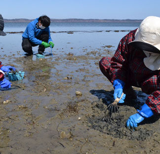 アサリに歓声、潮干狩り　７月１５日まで(2022-04-07)
