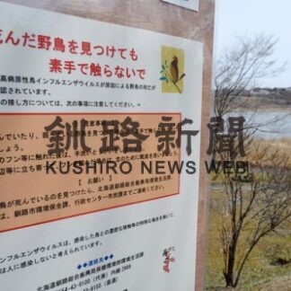 野鳥の死骸見たら連絡を　釧路管内、鳥インフルに計画(2022-04-15)