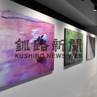 鶴雅ホールディングス、「新たな憩い、交流の場に」阿寒アートギャラリー開設(2022-04-18)