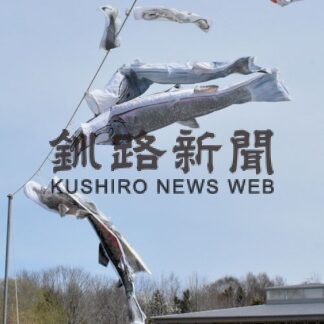 シロザケ稚魚放流、鮭のぼりも　標津サーモン科学館_1(2022-05-04)