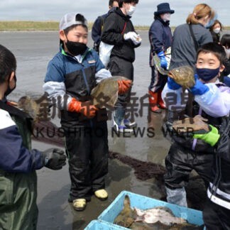 地引き網「大漁」に歓声　霧多布小３年ぶり海辺観察会(2022-05-26)