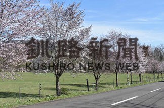 上庶路の桜並木見頃　白糠の元酪農家、寺澤さんら植樹(2022-05-08)