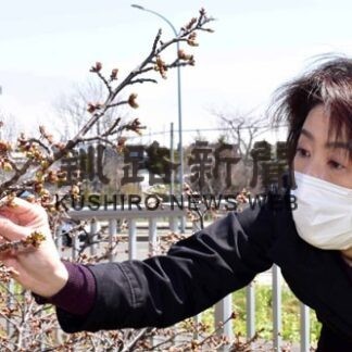 桜開花まで数日、標準木で観測開始(2022-05-07)