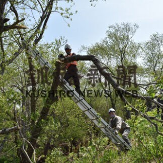 ３社合同力合わせ　市営新野牧場整理(2022-05-28)