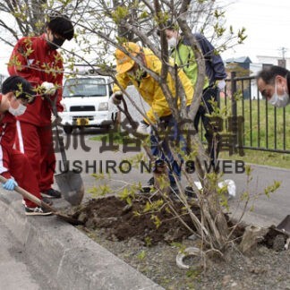 鳥取８丁目町内会と鳥西中生の共同植栽(2022-05-21)