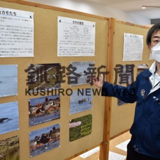カモの生態を写真で紹介　釧路市立博物館、空港で企画展(2022-05-17)