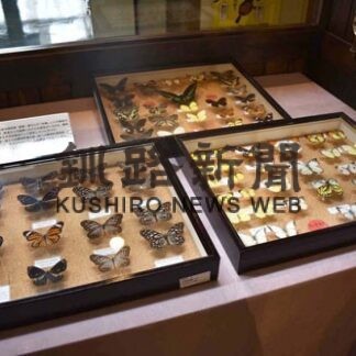 今月の特集展示　外国のチョウ標本(2022-05-10)