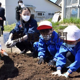 附属児童生徒が花壇の土おこし　地域を花でいっぱいに(2022-05-17)
