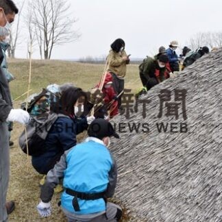 親子らヨシ使い屋根ふき体験(2022-05-02)