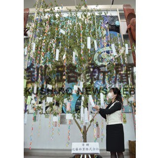 釧路空港に七夕飾り　３年ぶり短冊に願い(2022-06-29)