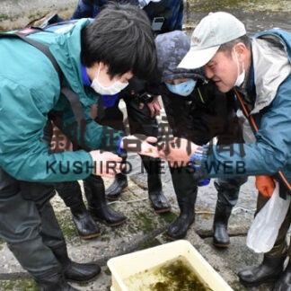 地元の豊かな海実感　標津高生が藻場学習(2022-06-23)
