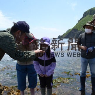 大黒島の貴重な生態系学ぶ　海鳥繁殖地と海洋観察会(2022-06-25)