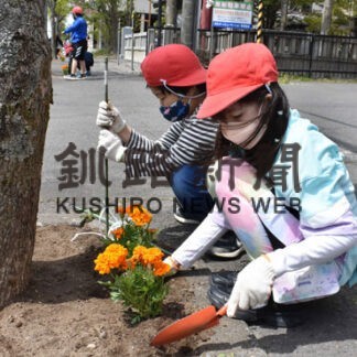 「コスモス街道」花開け　釧路小児童が種まき(2022-06-03)