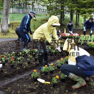 釧路ライオンズクが動物園花壇に花の苗１２００株植栽(2022-06-18)