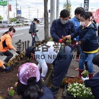 釧路西部たらふく商店会が地域の街路升植栽(2022-06-05)