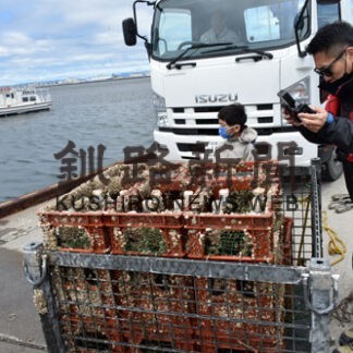海底熟成で風味まろやか　福司１００本引き上げ_1(2022-06-06)