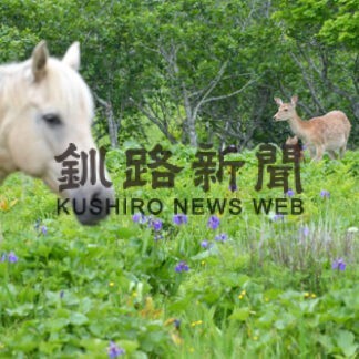馬と鹿とアヤメと…　厚岸末広で自然の共演(2022-06-24)