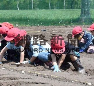 「大きく育ってね」標茶高農園で生徒児童ら種イモ植え作業(2022-06-07)