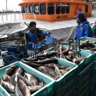 安全操業協定停止　漁業者、継続願い「再交渉を」(2022-06-09)