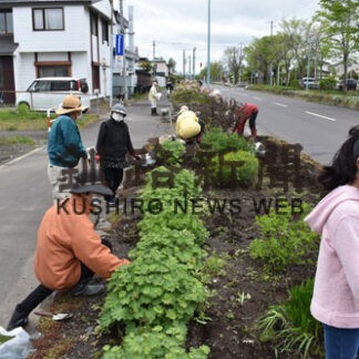花壇整備、地域に彩り　美原地区で２団体_1(2022-06-03)