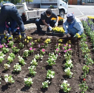 ４５０株植え替え、駅前花で彩り　花いっぱいコスモス推進会議(2022-06-28)