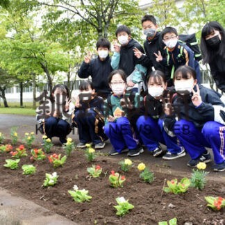 通学路に花いっぱい　ふれあい花壇で世代間交流(2022-06-16)