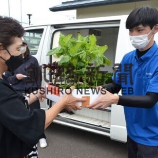 紫蘇香るまち　苗販売でＰＲ　大前産業、町役場(2022-07-12)