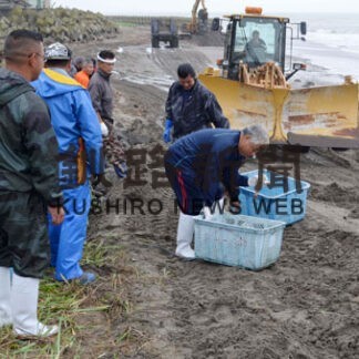 「海中みこし」前に清掃、重機で通路整備も(2022-07-22)