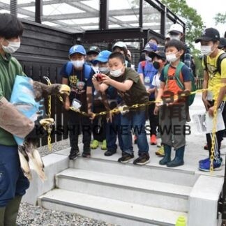 「釧路湿原の動物守りたい」　鳥取小児童体験ツアー(2022-08-11)