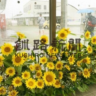 ヒマワリで根室駅に彩り(2022-08-21)