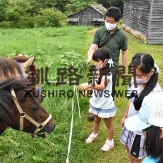 夏休み奥行臼トロッコまつり　親子連れらでにぎわう_3(2022-08-20)