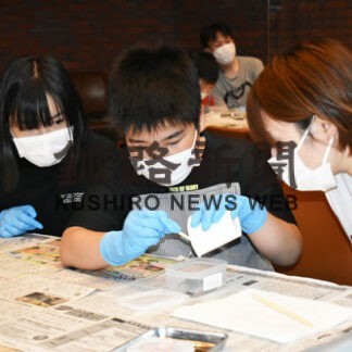 小学生らクワガタ標本づくり　博物館(2022-08-05)