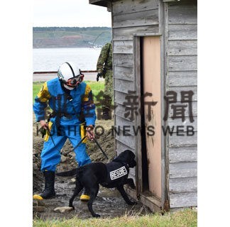 総勢２３８１人で防災訓練 根室市や海保など合同_2(2022-09-01)