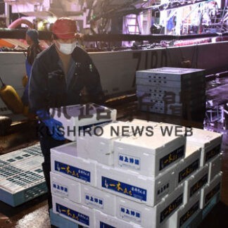 サンマ中型船初水揚げ　棒受け網漁、花咲港４．５㌧、厚岸港１㌧(2022-08-24)