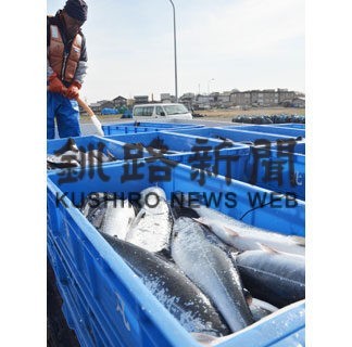 トキ６０％増も２年連続不漁　釧路管内春定置(2022-08-24)