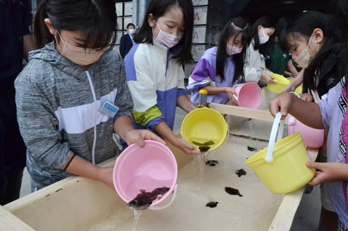 海づくり大会へ機運醸成 マツカワをリレー放流(2022-08-31)