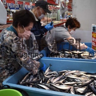 今季初の振る舞いサンマ　鮮魚店「魚信」(2022-09-29)