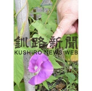 花の便りに笑顔(2022-09-26)