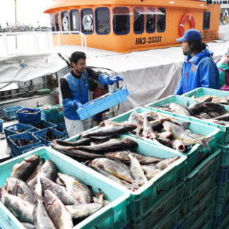 ホッケ刺し網漁 国後島周辺は見送り　日ロ中間ライン越えず(2022-09-17)