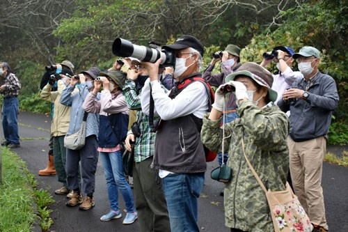 春採湖を散策し鳥の観察楽しむ(2022-09-19)
