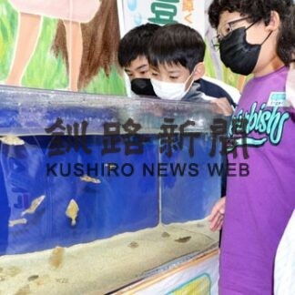 厚岸小飼育マツカワ稚魚、１０月２日放流(2022-09-28)