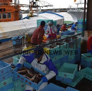 ホッケ安全操業初出漁　国後周辺、７㌧水揚げ(2022-10-01)