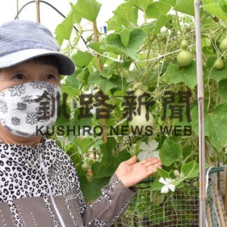 千成ヒョウタン実る　源さん宅花壇に８０個(2022-10-06)