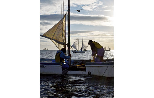 ホッカイシマエビ漁解禁 伝統の打瀬舟 湾内を飾る(2022-10-21)