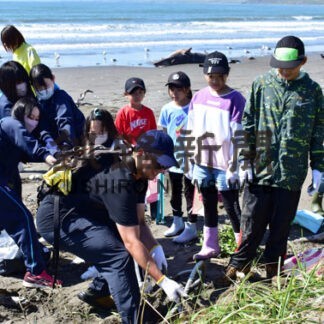 ブロギングねむろ、三里浜で漂着したごみ拾い(2022-10-02)