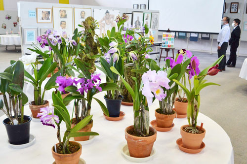 陶芸や短歌力作ずらり 総合文化祭(2022-10-23)