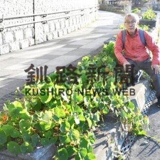 晩秋のキンレンカ見頃　釧路の会、富士見坂の花壇整備(2022-11-18)