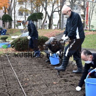 公園に美しい彩り　花壇に球根植栽(2022-11-12)